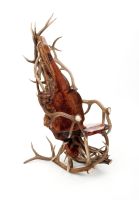 Antler Rocker