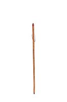 Cardinal Walking Stick