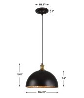 Placuna Metal Dome Pendant Light