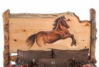 Bucking Bronco