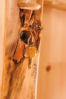 Gun Cabinet Lock