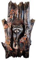 Raccoon in Tree