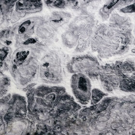 Kikiamo Series XIV Rug - Marble