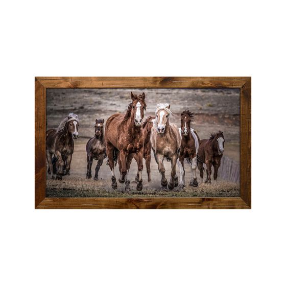 "Running Wild" by Dan Ballard
#901 Standard Frame
