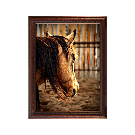 "Sunset Corral" by Mitchell Mansanarez
20" x 30" - #8235 Standard Frame