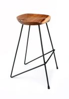 Contemporary Stool