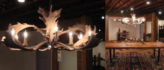 8 Light Elongated Fallow Antler Chandelier