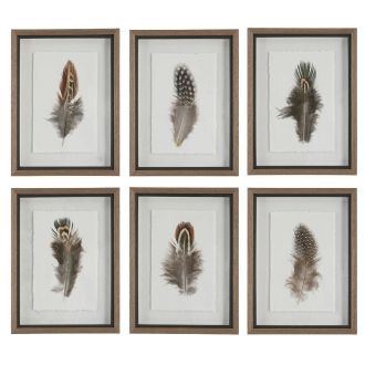 Birds of a Feather Framed Prints