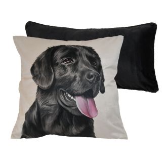 Log Cabin Star Pillow Set