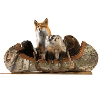 "Noah's Ark" Canoeing Quartet