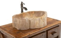 Petrified Wood Sink