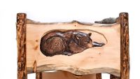 Hibernating Bear