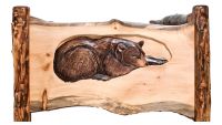 Hibernating Bear