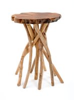 Teak Slab Branch Base Side Table