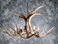 Tamarack Mule Deer Chandelier (5 Lights)