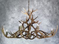 Isle Royale Chandelier (Mule Deer Antlers)
