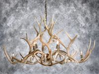 Isle Royale Chandelier (Whitetail Deer Antlers)