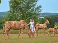Rustic Driftwood Horses