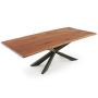 Modern Rustic Dining Tables