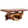 Rustic Antler, Root & Stump Coffee Tables